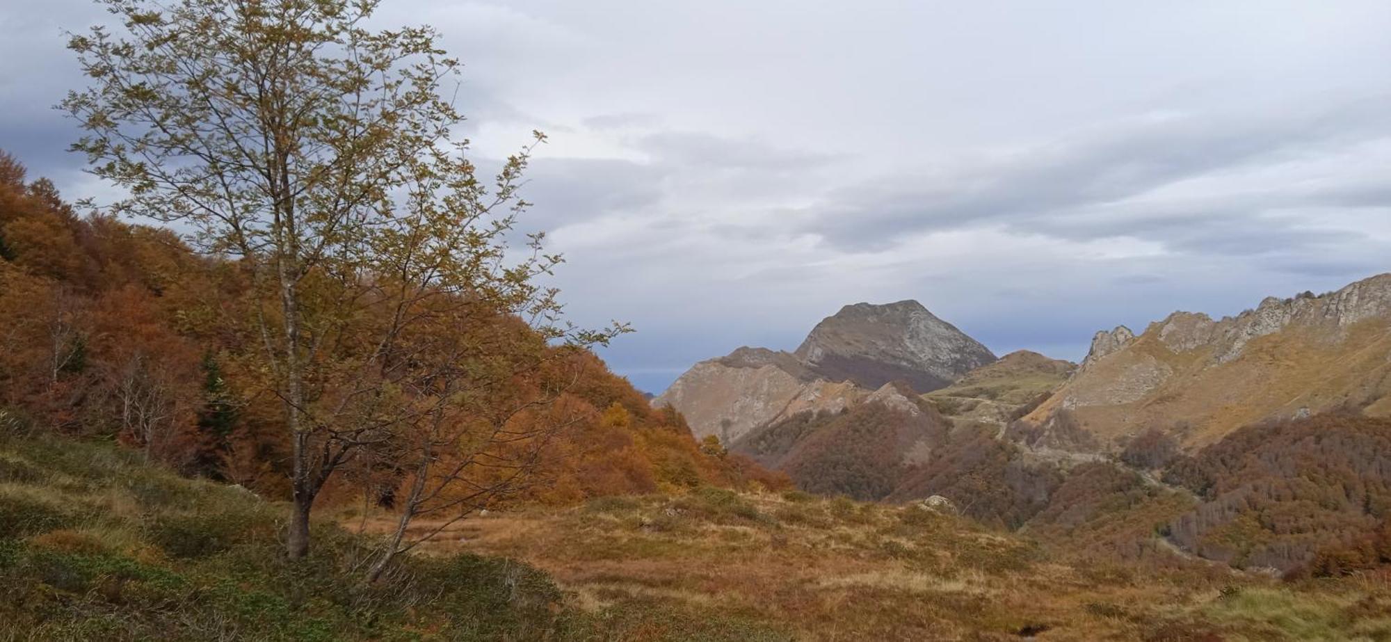 Studio Le Mont Beas โอลุส์เลส์แบงส์ ภายนอก รูปภาพ